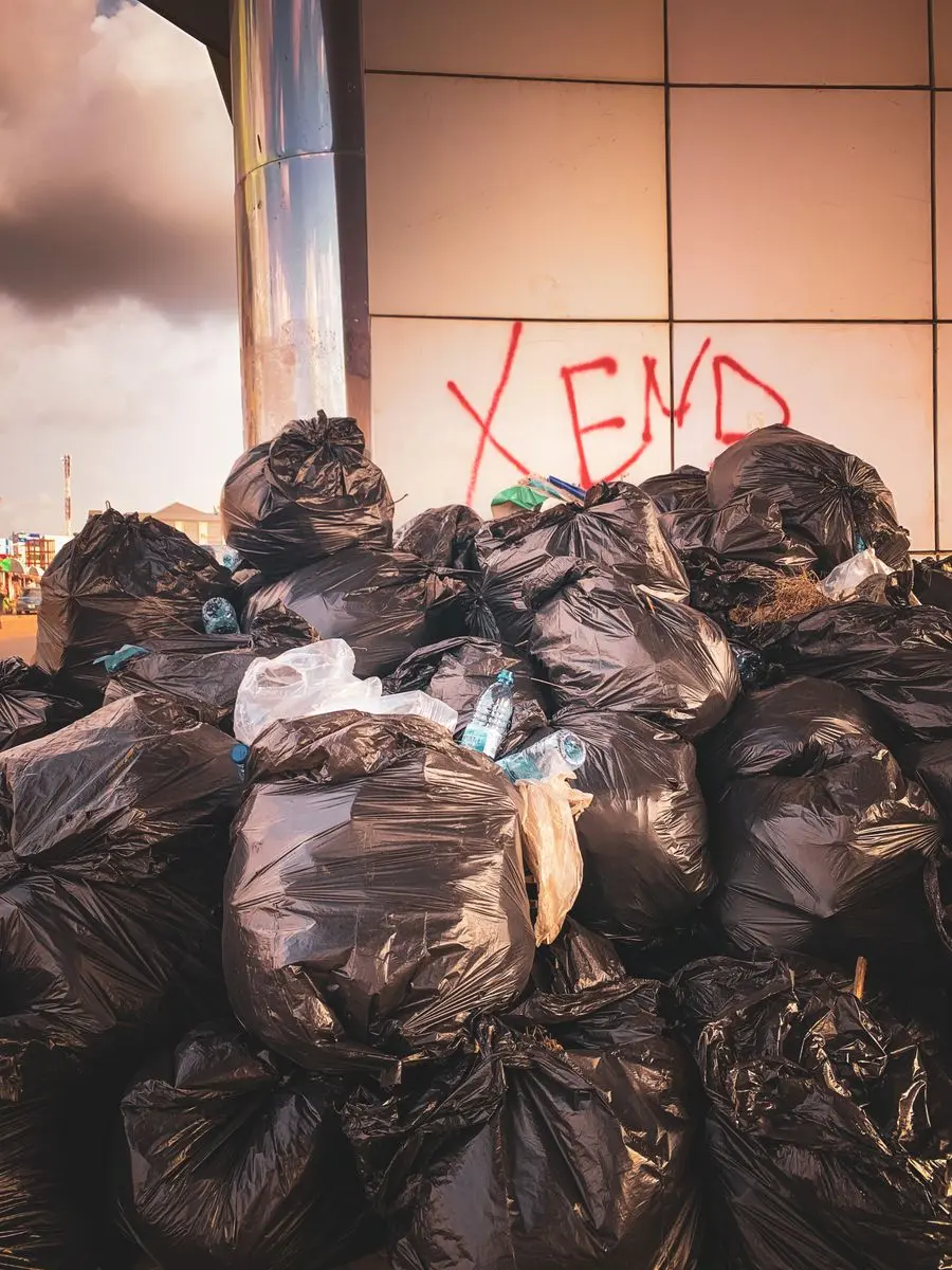 Dumpster rental in Reno